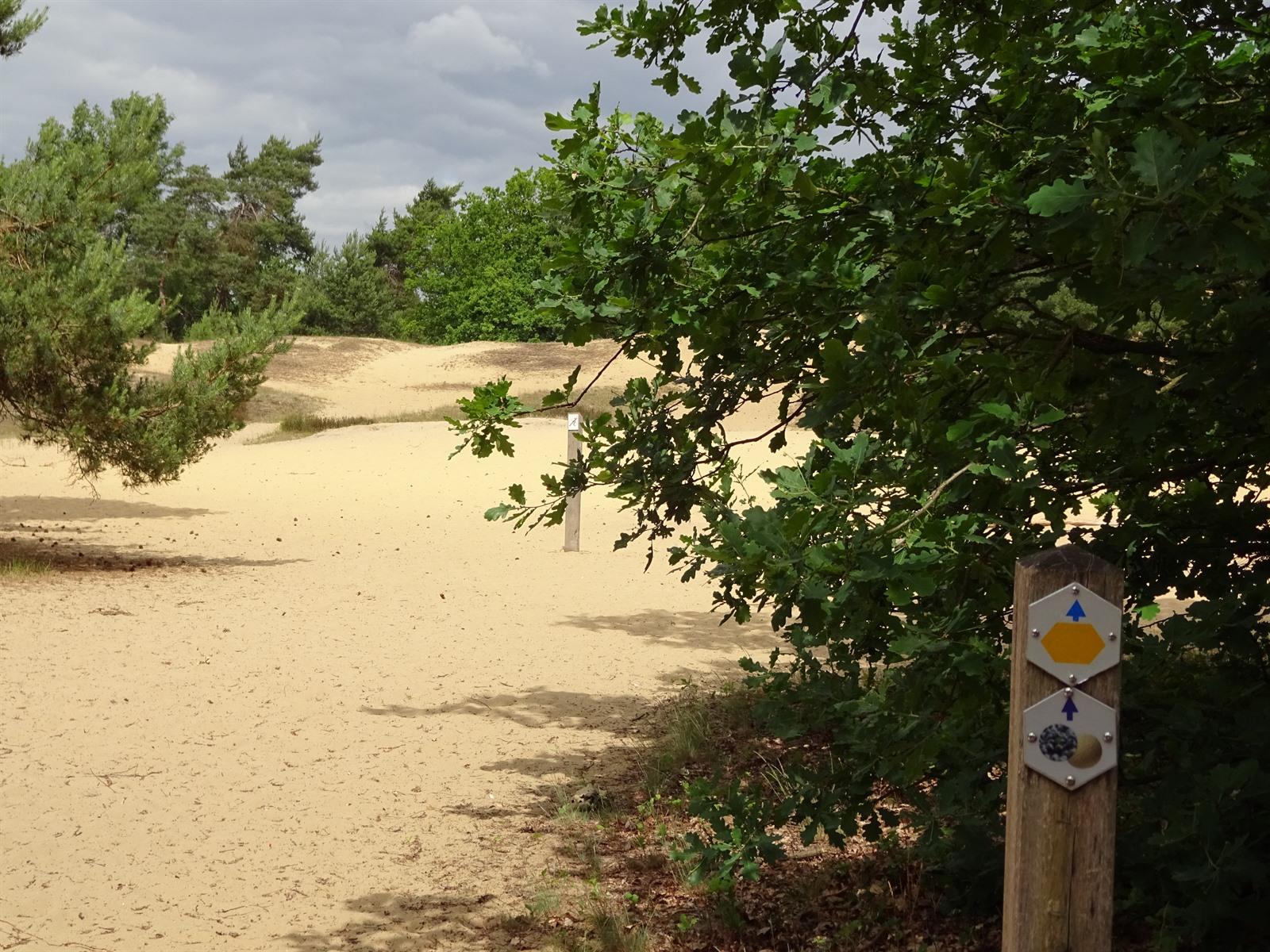 Fietsen in Opglabbeek, natuur op en rond Oudsberg(en)