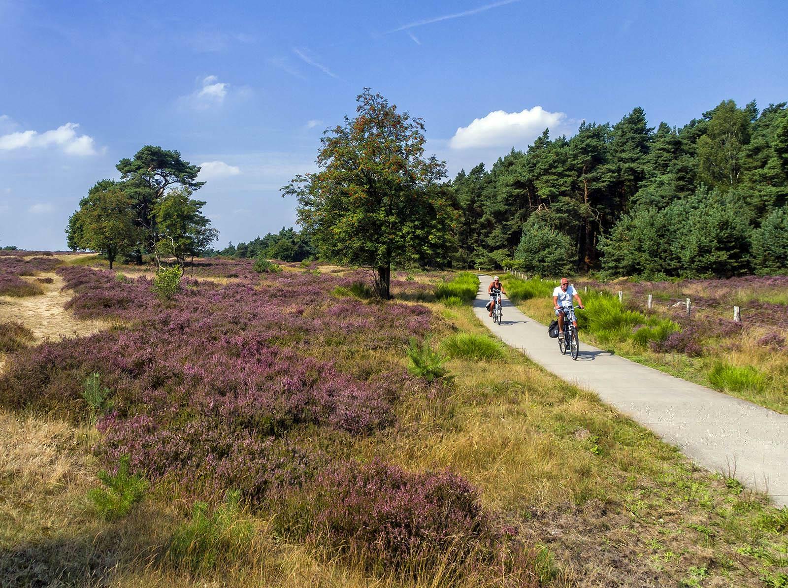 Arnhem – Nijmegen: fiets- en autoroute Gelderland