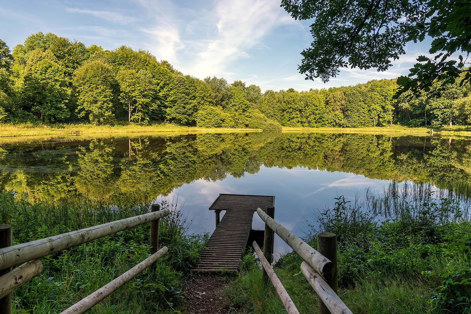 Rondreis Vulkaaneifel: autoroute met 4 wandelroutes + kaart