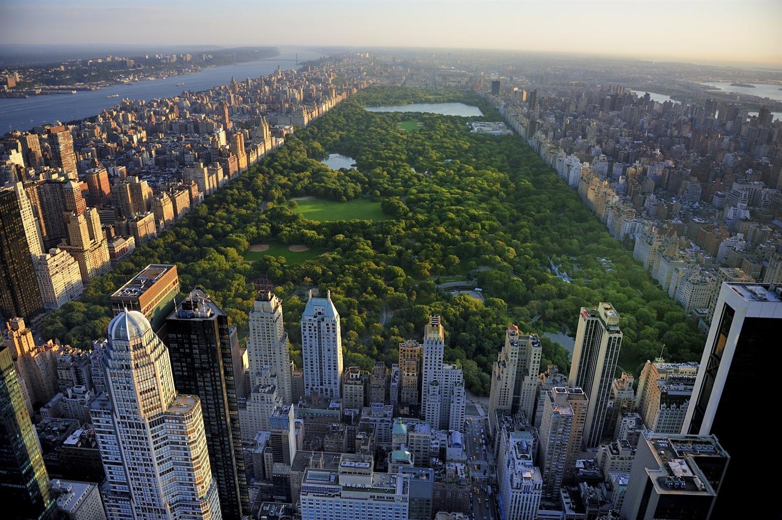 Wandeling Central Park, Times Square en Broadway – New York