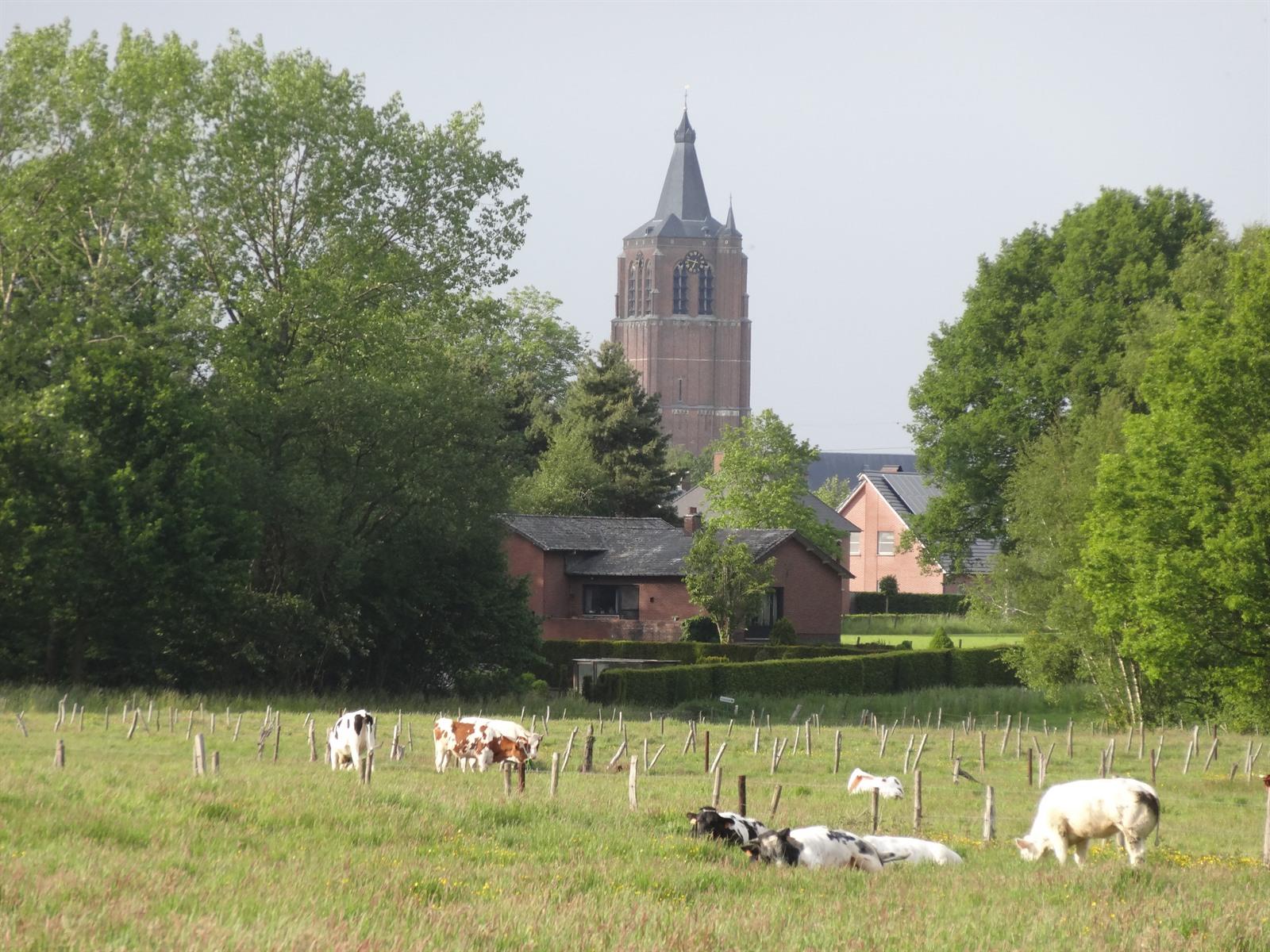 Fietsen in Peer, op zoek naar Bruegel