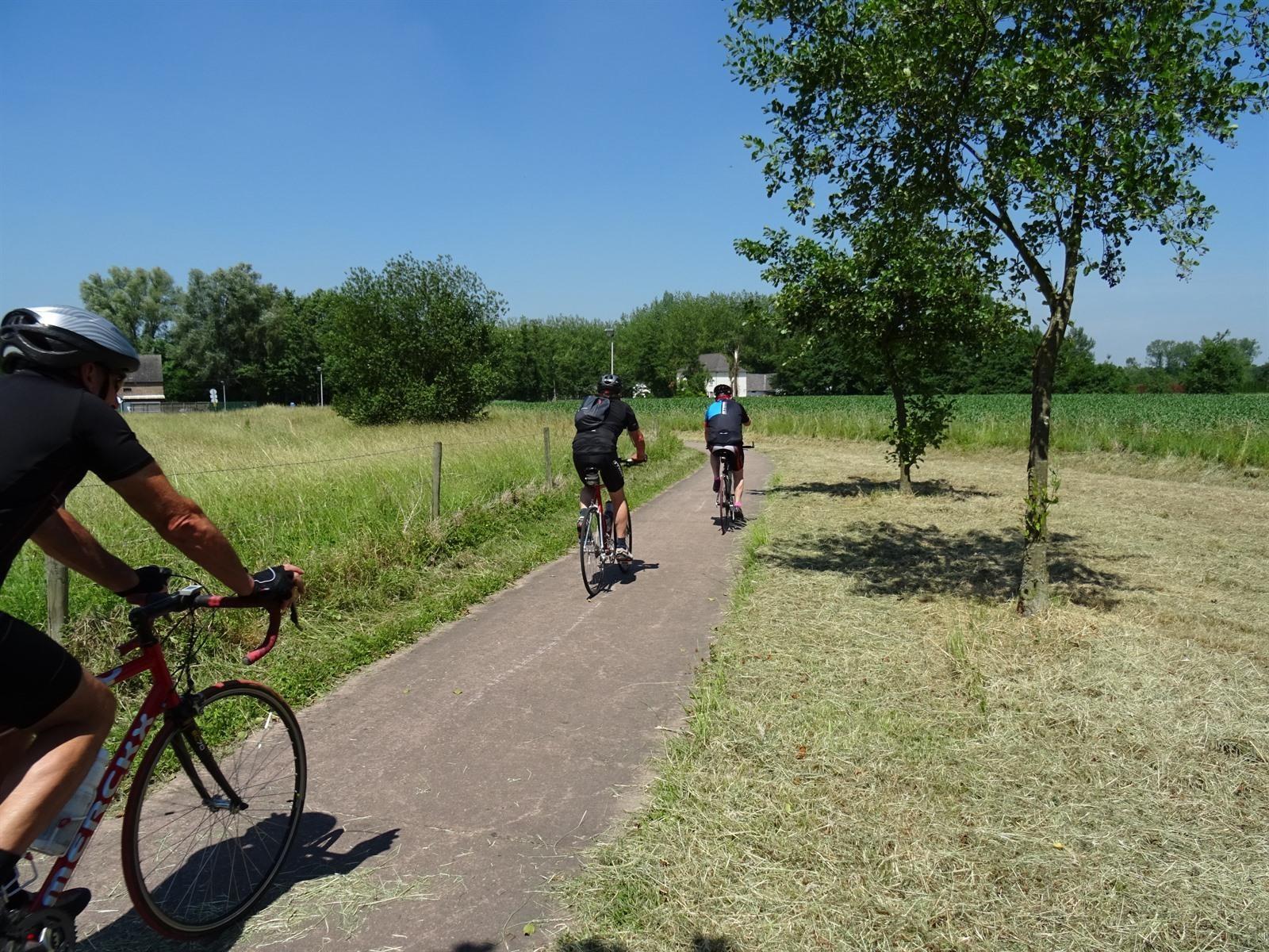 Fietsroute Alken langs fietsknooppunten