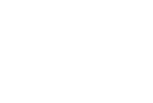 ZinvolleReis