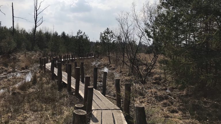 plankenpad dwingelderveld wandelen