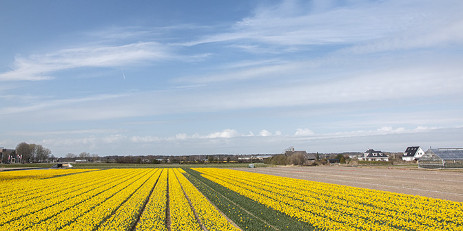 bolelnvelden wandelen lisse