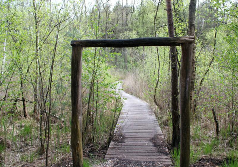 wandelen knuppelpad sint ludwig