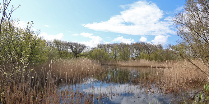 zwanenmeer noord-holland