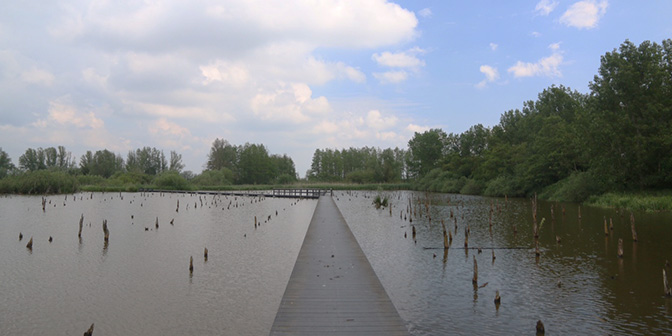 vlonder verdronkenbos schalkwijk