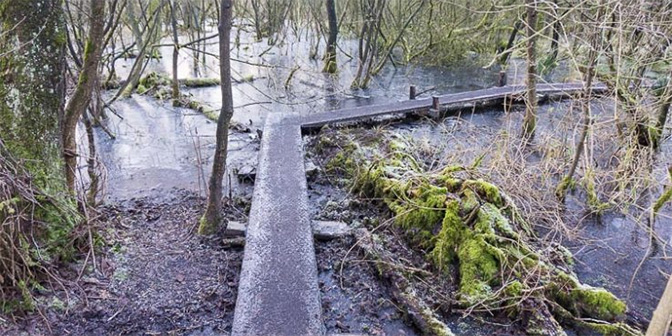 wandelen vlonderpaden lettelberterpetten